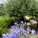 Guest house Les Jardins De Santa Giulia - Charmante Dhte Porto-Vecchio (Corsica)
