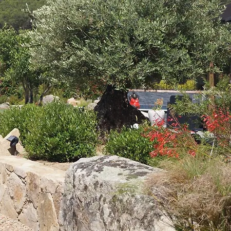 Gasthuis Les Jardins De Santa Giulia - Charmante Dhte Porto-Vecchio (Corsica)