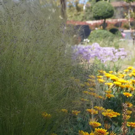 Les Jardins De Santa Giulia - Charmante D'hôte * Porto-Vecchio (Corsica)