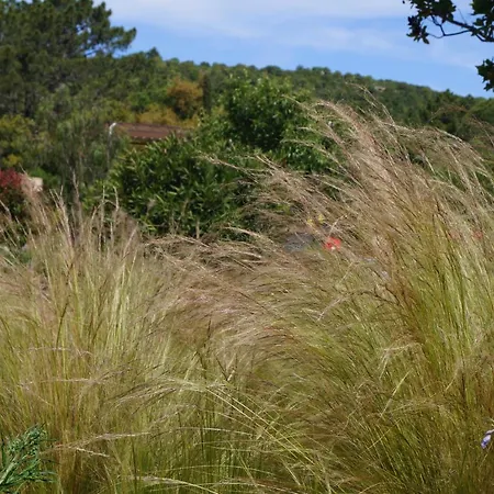 Les Jardins De Santa Giulia - Charmante Dhte Porto-Vecchio (Corsica)