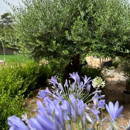 Pensionat Les Jardins De Santa Giulia - Charmante Dhte Porto-Vecchio (Corsica)