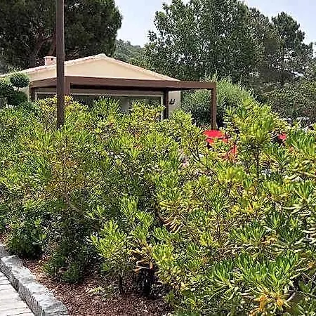 Guest house Les Jardins De Santa Giulia - Charmante Dhte