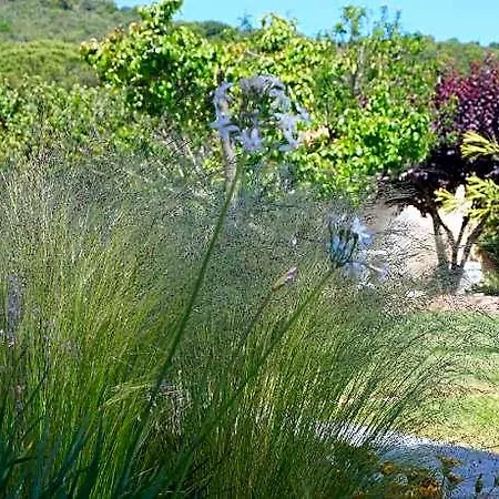 Les Jardins De Santa Giulia - Charmante Dhte Porto-Vecchio (Corsica)