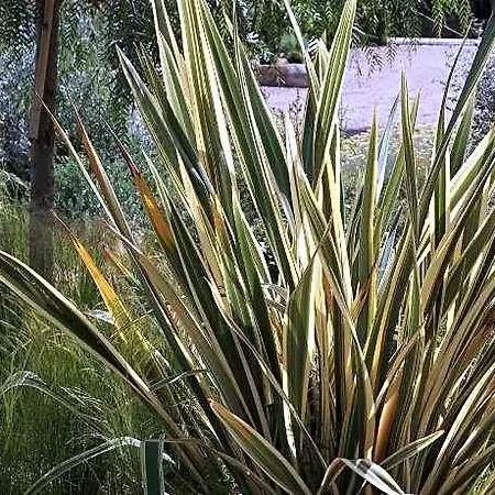 Les Jardins De Santa Giulia - Charmante Dhte Gasthof 3*