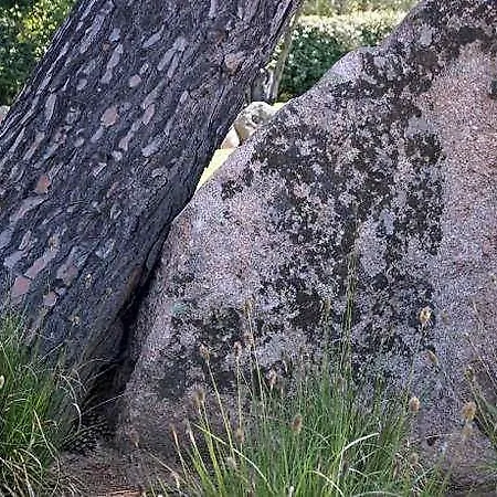 Les Jardins De Santa Giulia - Charmante Dhte 3* Porto-Vecchio (Corsica)