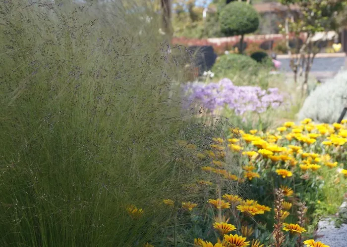 Les Jardins De Santa Giulia - Charmante Dhte 3* 维琪奥港