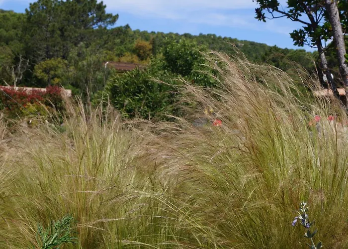 Les Jardins De Santa Giulia - Charmante Dhte 维琪奥港